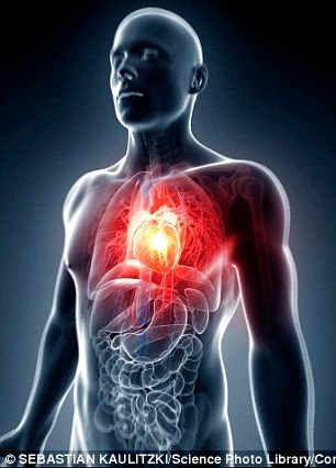Những vi chất giúp ngăn ngừa bệnh tim - 1 Bệnh tim là một trong những nguyên nhân gây tử vong hàng đầu ở Anh và Mỹ , nhưng tất cả chúng ta có thể làm nhiều hơn để giúp ngăn chặn nó.