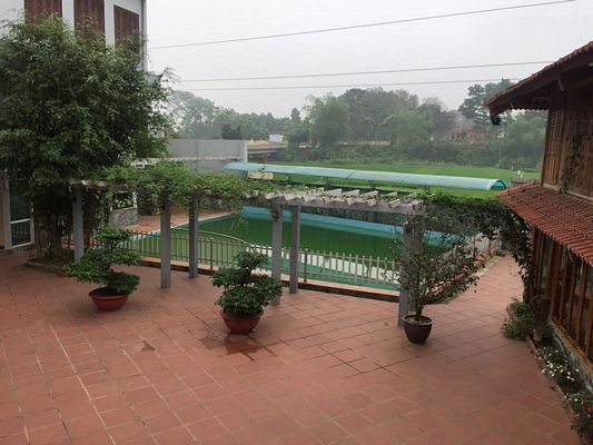 Homestay trong bán kính thành phố - 3 Khung cảnh nhà sàn Sông Hang