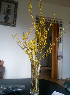 "Xuân đã đến bên em, dáng xuân tuyệt vời..." - 4 "Xuân đã đến bên em, dáng xuân tuyệt vời..." - 4