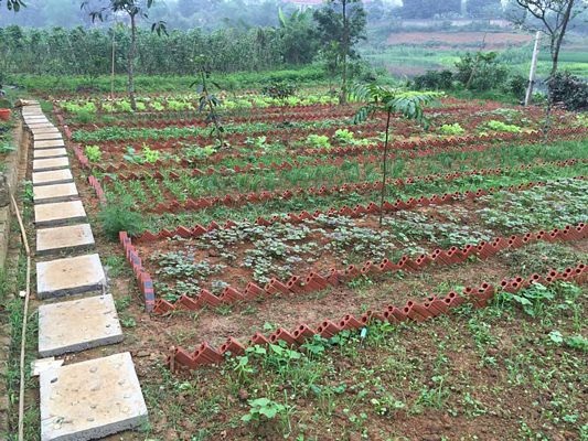 Homestay trong bán kính thành phố - 7 Homestay trong bán kính thành phố - 7