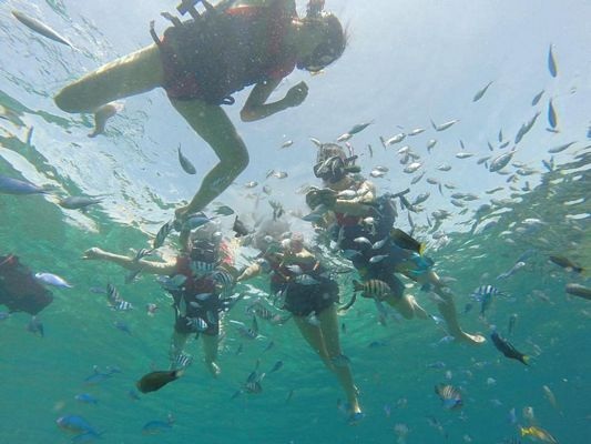 Cuộc đua kỳ thú đến "hòn đảo hoang sơ" Pulau Redang - 15 Chào đón đoàn là làn nước trong vắt, được mệnh danh là Blue Crytal Water và tầng tầng lớp lớp đàn cá lớn nhỏ. Hoạt động thích nhất của các bạn nhỏ là cho cá ăn