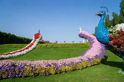 Khám phá Abu Dhabi: Thành phố ngàn hoa trên sa mạc - 4 Khám phá Abu Dhabi: Thành phố ngàn hoa trên sa mạc - 4