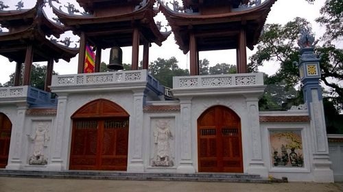 Đồng Giao mùa dứa trái vụ - 11 Đồng Giao mùa dứa trái vụ - 11