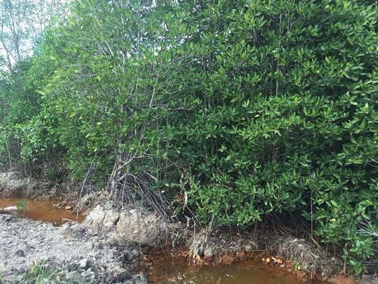 Đẹp dịu dàng mà không chói lóa - 5 Đẹp dịu dàng mà không chói lóa - 5