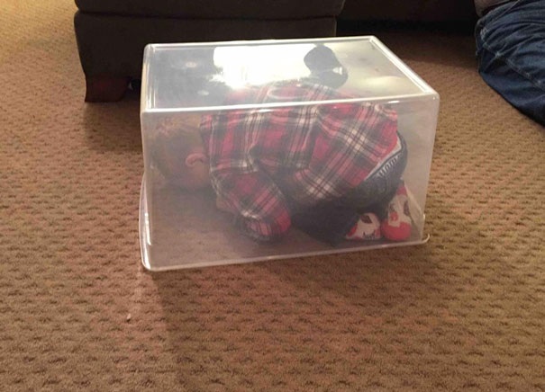 
Đây là chỗ con trai tôi chọn để trốn, kín tuyệt đối!
