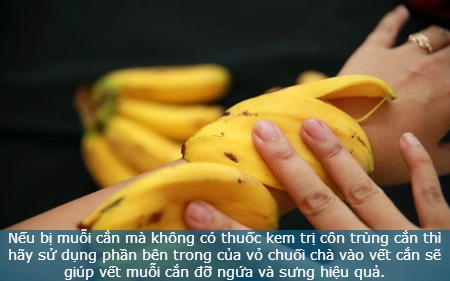 Mẹo hữu ích từ vỏ chuối ít khiến bạn bất ngờ - 9 Mẹo hữu ích từ vỏ chuối ít khiến bạn bất ngờ - 9