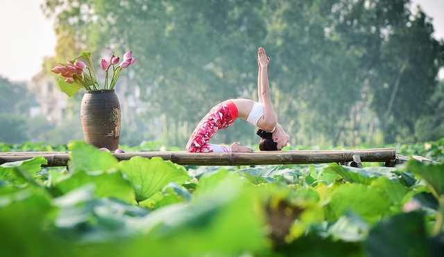 Tạo dáng yoga đẹp mắt bên hồ sen của cô gái Hà thành - 6 Tạo dáng yoga đẹp mắt bên hồ sen của cô gái Hà thành - 6