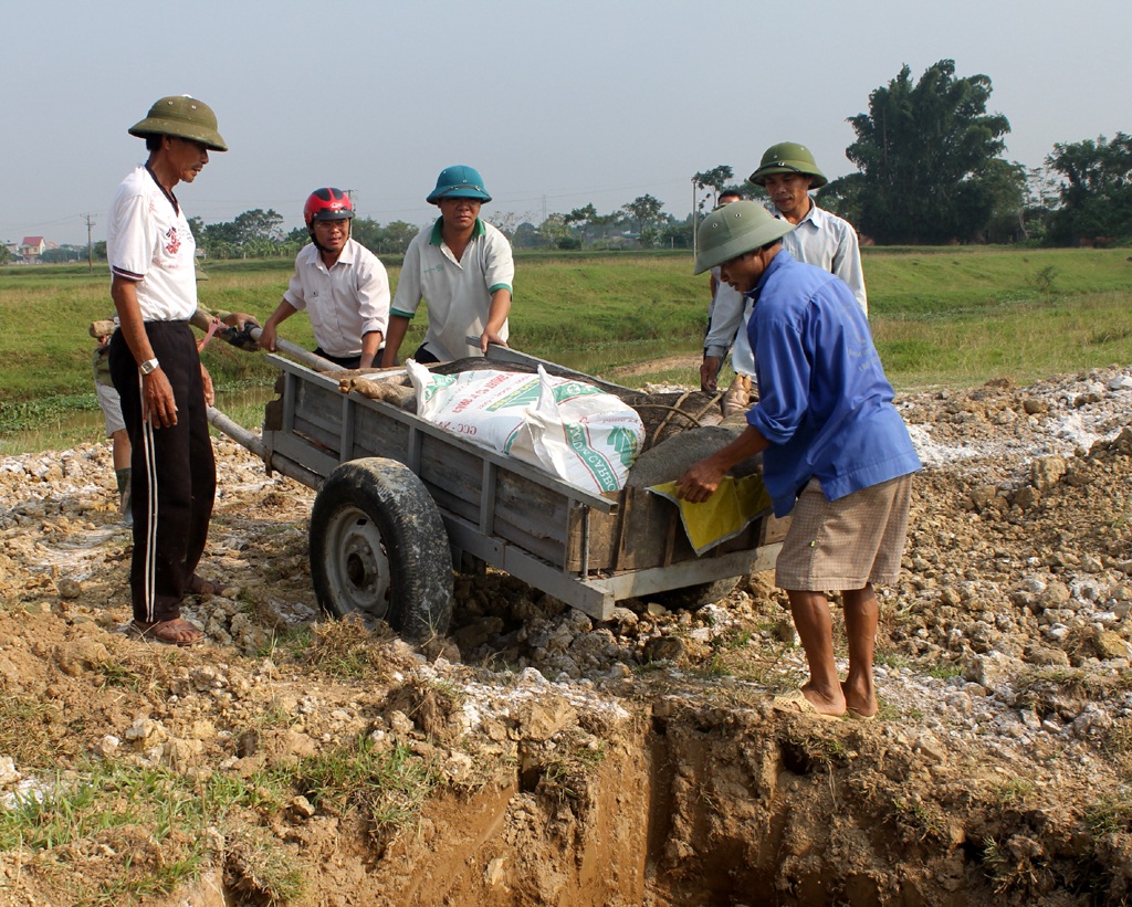 Bùng phát dịch lợn tai xanh - 2
Tiêu hủy lợn bị nhiễm bệnh.