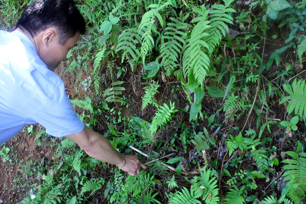 Những người đẩy đuổi con “ết” tại "thủ phủ ma túy" - 1 Số kim tiêm đã qua sử dụng được các đối tượng nghiện vứt tại gần khu vực đền Chín Gian.