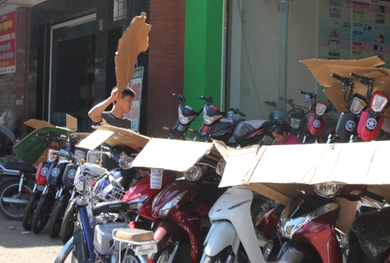 Miền Trung quay cuồng trong nắng nóng hơn 40 độ C - 3
Nhân viên của hàng bán xe đạp, xe máy dùng bìa các-tông để che nắng cho những chiếc xe mang ra trưng bày.