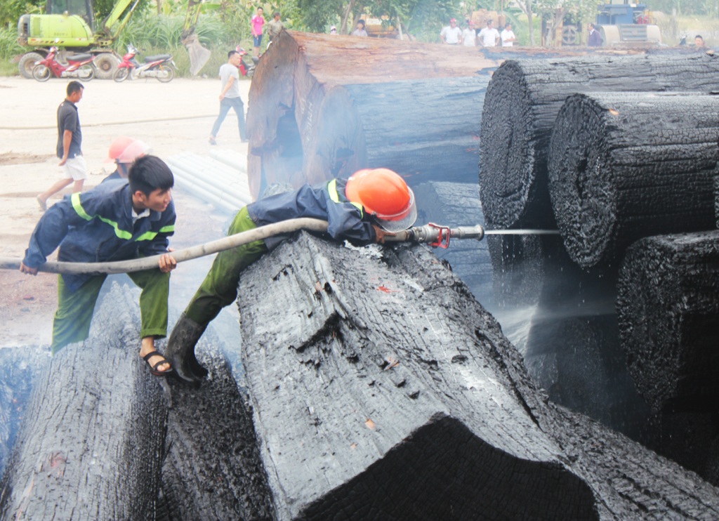 Hơn 50 lính cứu hỏa chữa cháy bãi tập kết gỗ - 4 Tuy nhiên do than cháy âm ỉ trong thân cây gỗ lớn nên lực lượng cứu hỏa phải tiếp tục bơm nước để tránh ngọn lửa bùng phát trở lại.