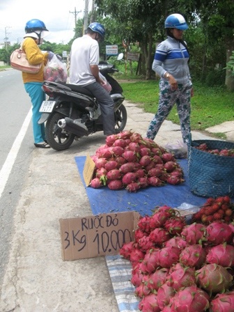 
Nhiều người đi đường chọn mua thanh long
