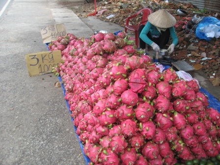 Thanh long giá rẻ tràn ra đường