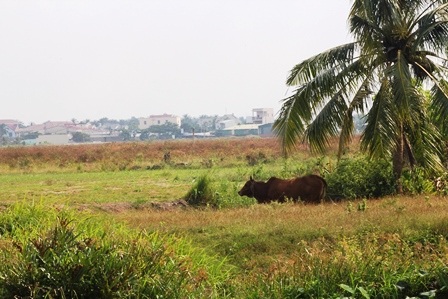 Công trình quảng trường đang trong giai đoạn san lấp mặt bằng