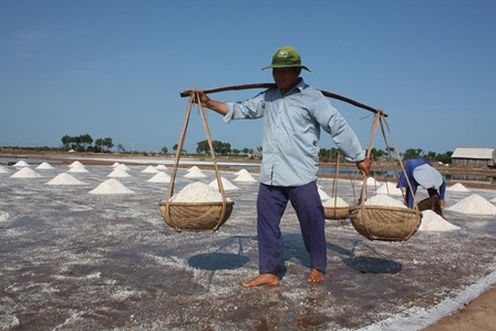 Mỗi giạ muối chưa mua được bát phở vẫn ế