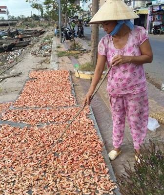 Tôm khô đắt đỏ, khan hàng trong dịp Tết - 3 Làm tôm khô bán Tết ở Trần Đề, Sóc Trăng
