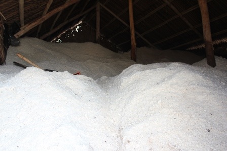 Mặn đắng bên những đồng muối - 8