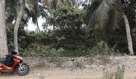 Khu đất trống nơi phát hiện người đàn ông tử vong