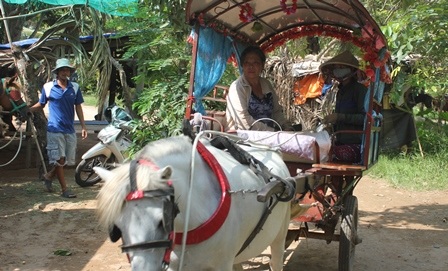 Nữ nài ngựa về nhà sau một ngày chở khách du lịch