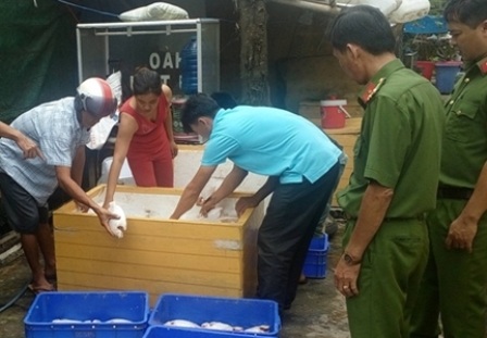 Phát hiện gần 1 tấn cá điêu hồng thối trong quán cơm - 1 Phát hiện gần 1 tấn cá điêu hồng thối trong quán cơm - 1