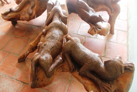 Ngắm bộ rễ cây hình 12 con giáp “siêu độc” của anh nông dân miệt vườn - 3