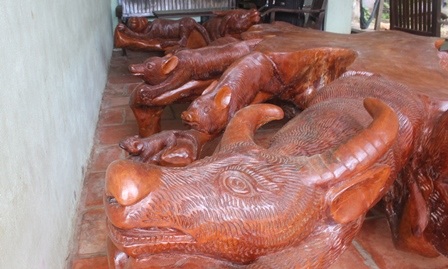 Ngắm bộ rễ cây hình 12 con giáp “siêu độc” của anh nông dân miệt vườn - 4