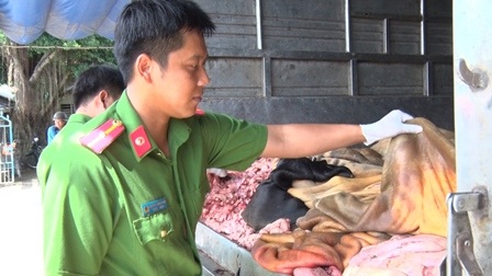 Phát hiện hàng trăm kg da bò, mỡ bò không nguồn gốc - 1
Da bò, mỡ bò không giấy phép vận chuyển, tem kiểm soát giết mổ bị cơ quan chức năng thu giữ