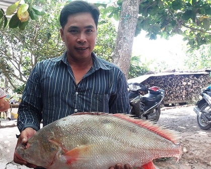 Bắt được cá nghi là sủ vàng nặng gần 6kg trên sông Hậu - 1 Anh Công bên con cá nghi là cá sủ vàng.