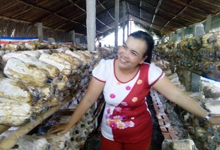 Người dân Sài thành rộ trào lưu trồng nấm sạch tại nhà - 4 Trồng nấm tại gia giúp chị Hồng nuôi được 2 con ăn học, nuôi mẹ già và có chút dôi dư