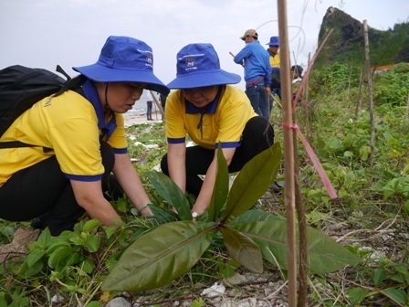 Công ty vàng đi dọn rác làm đẹp môi trường - 4 Công ty vàng đi dọn rác làm đẹp môi trường - 4