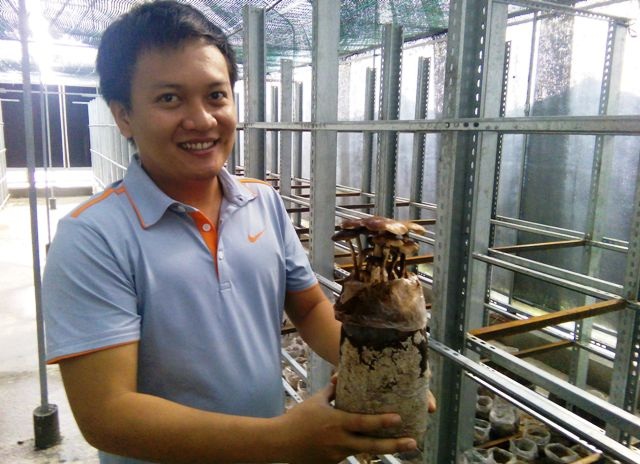 21 tỉnh, thành phố phía Nam thống nhất hình thành chuỗi thực phẩm an toàn - 2 Nhà sản xuất giới thiệu sản phẩm nấm mối nhân tạo lần đầu tiên xuất hiện tại TPHCM