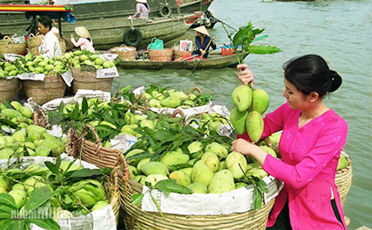 “Điểm mặt” những dự án tầm cỡ mà TPHCM và 13 tỉnh ĐBSCL kêu gọi đầu tư - 1 Chợ nổi miền Tây
