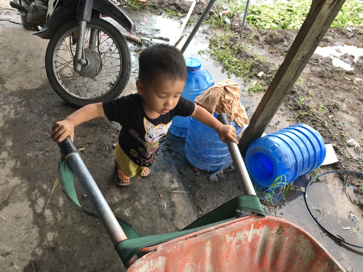 Cay đắng phận trồng rau - 3