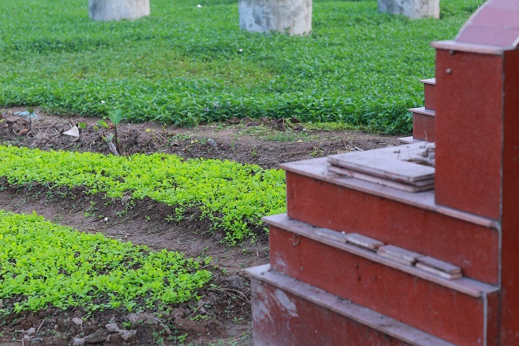 Từng m2 đất được người dân tận dụng triệt để