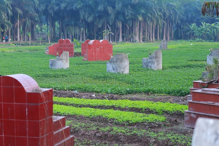 
Theo tìm hiểu của phóng viên, rau ở đây sau khi được thu hoạch sẽ được phân loại thành từng bó rồi chuyển cho các thương lái mang đến các chợ trong nội đô Hà Nội để tiêu thụ.
