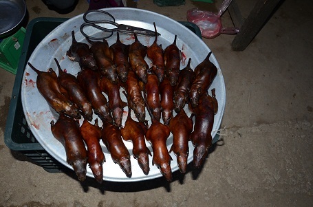 Một buổi đi săn chuột đồng... - 14