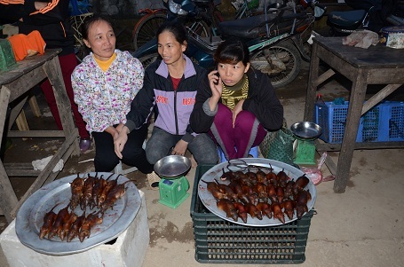 Một buổi đi săn chuột đồng... - 15