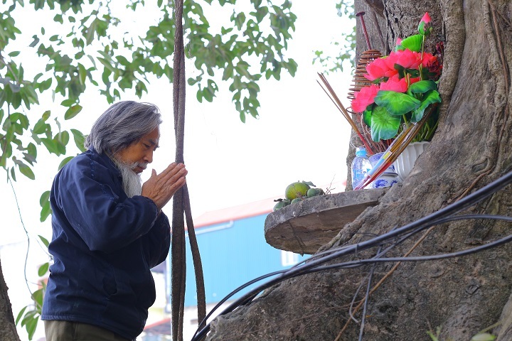 Hà Nội: Cận cảnh cung đường nghìn tỷ né cây đa trăm tuổi - 9