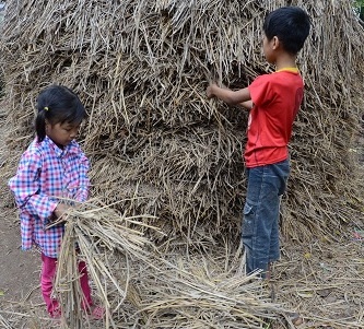 Bi đát bé 4 tuổi bị xuất huyết giảm tiểu cầu không tiền chạy chữa. - 5