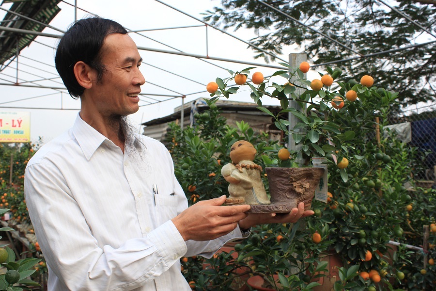 Cây quất có kích thước nhỏ chỉ độc có một cành uốn thế nhưng cũng có giá lên tới vài triệu, đắt ngang cây cao tới 2-3m