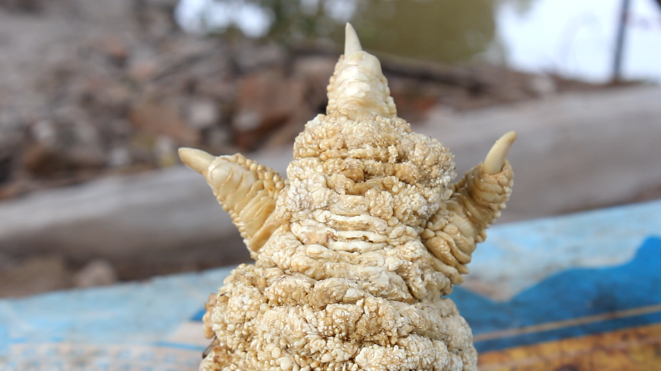 
Điểm độc đáo là đôi chân ngắn, có nhiều lớp vảy xếp tầng lên nhau
