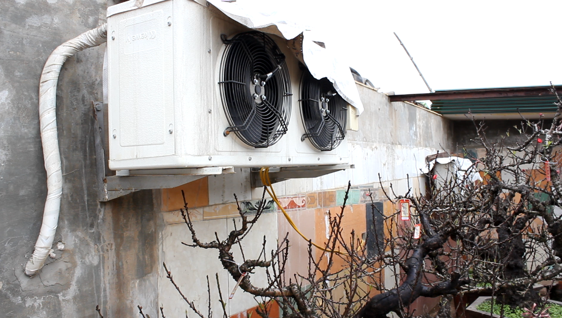 Để chống chọi với thời tiết khắc nghiệt của miền Bắc, ngay từ cuối tháng 10 âm lịch, ông Hàm đã trang bị điều hòa hai chiều để căn chỉnh nhiệt độ cho phù hợp