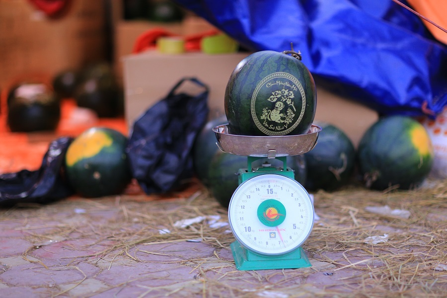 Một quả dưa hấu khắc hình khỉ Tết Bính thân trọng lượng 7kg có giá 300 nghìn đồng