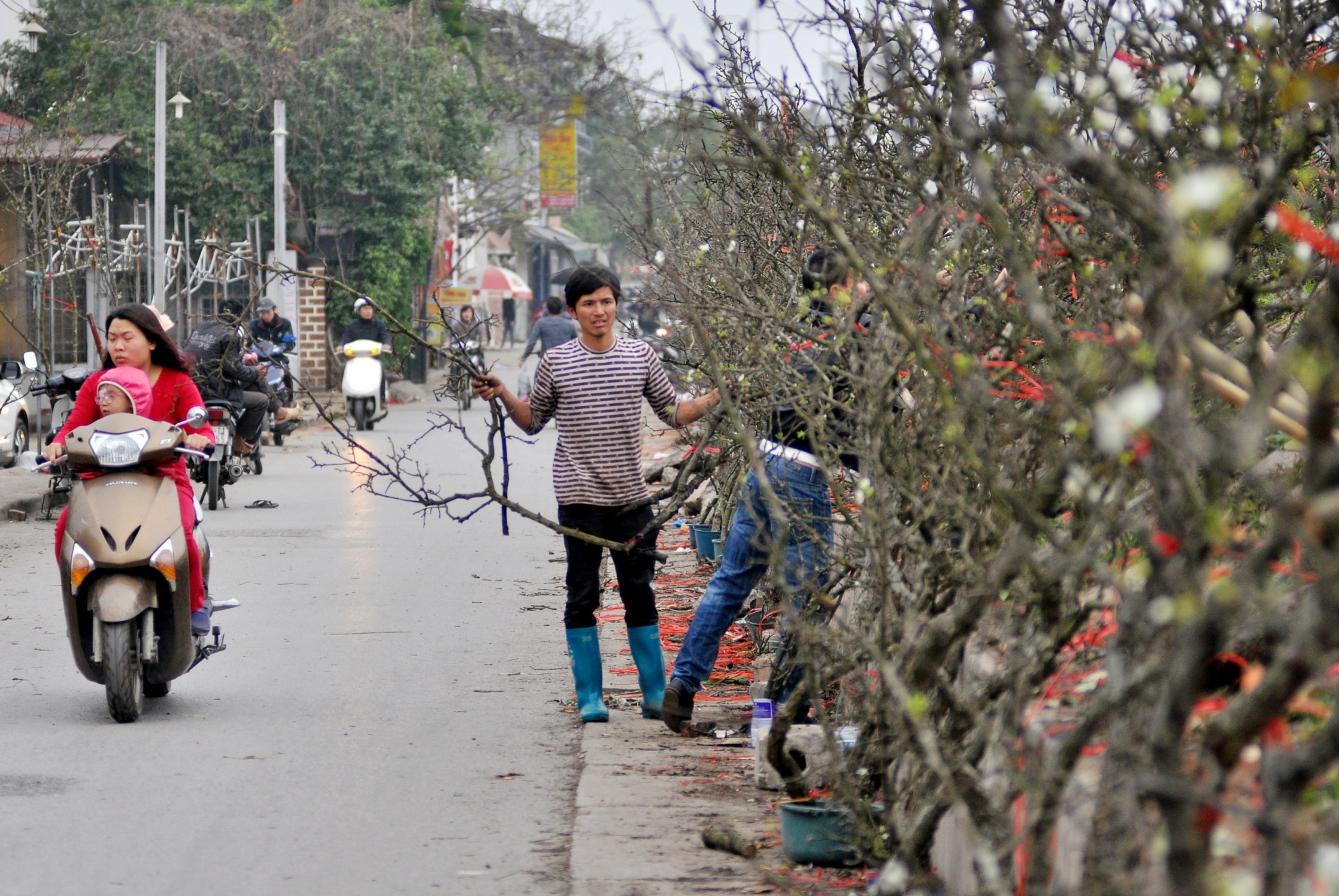 
Năm nay, giá bán lê rừng cao hơn nhiều so với mọi năm. Trung bình một cành lê được bày bán tại chợ Quảng An - Tây Hồ có giá giao động từ 300 nghìn đến 4 triệu đồng mỗi cành.
