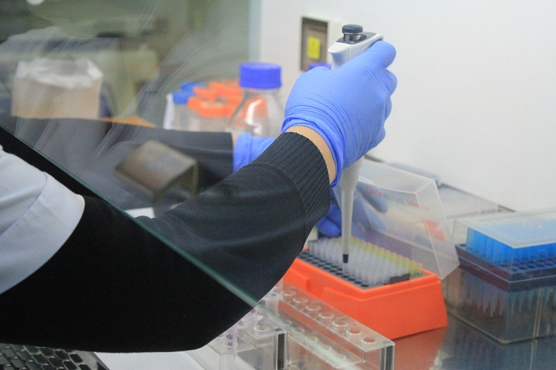 Nhiều câu chuyện bi hài đã được phát hiện sau khi xét nghiệm ADN