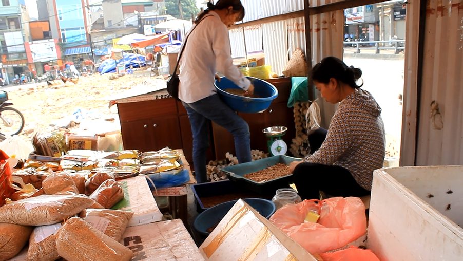 Thương lái đang tiến hành phân loại các loại côn trùng để bán cho khách