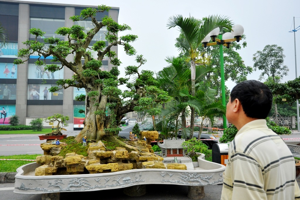 
Cây Duối cổ của ông Trần Văn Quỳnh – Đông Anh, Hà Nội. Tác phẩm được thiết kế với nhiều tiểu cảnh gợi giống như một bức tranh về cảnh sinh hoạt đời thường của người dân vùng đồng bằng Bắc Bộ.
