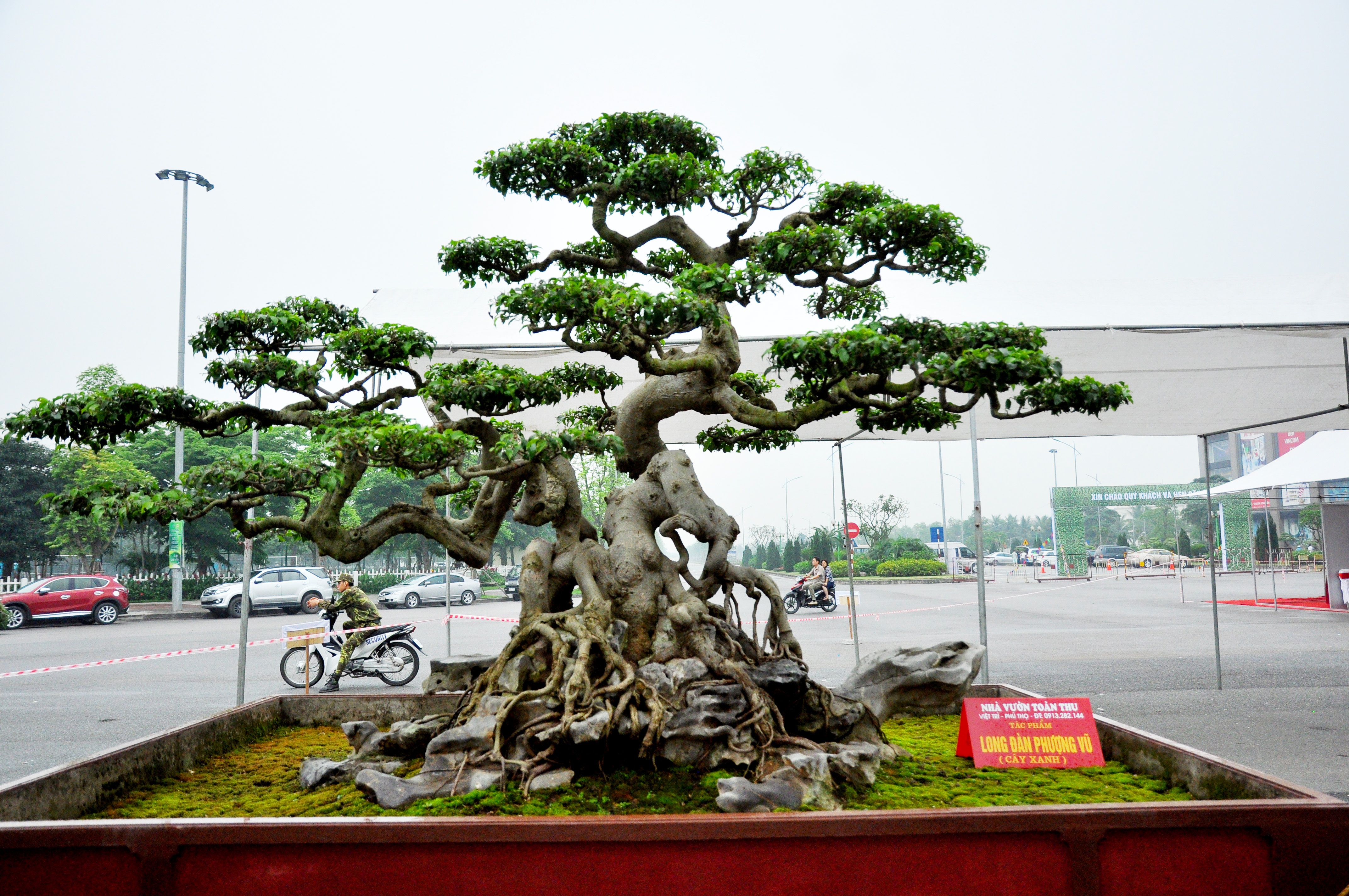 Tác phẩm Long đàn, phượng vũ