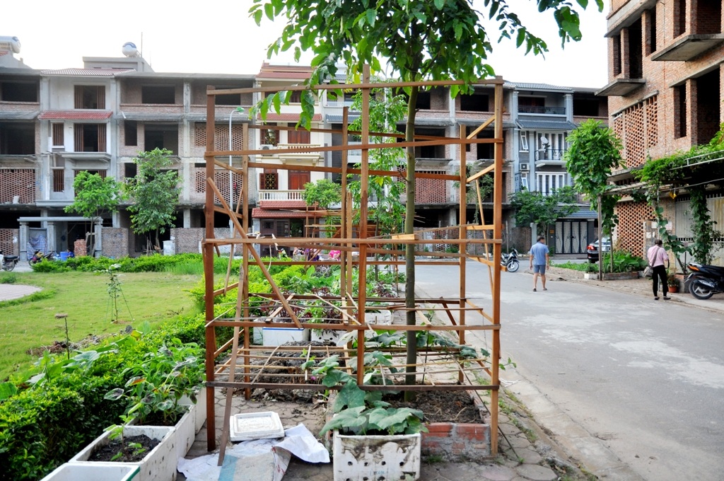 
Một bồn cây ở công viên cũng được người dân đóng cọc, trồng rau bên trong.
