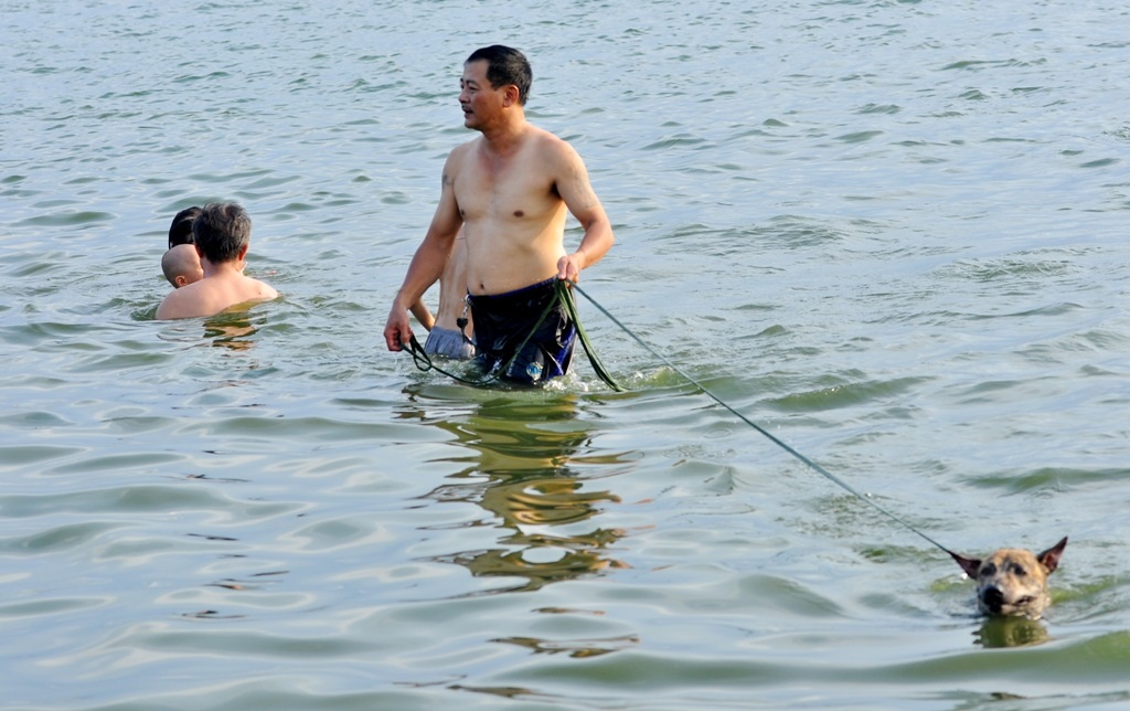 
Việc đưa chó cưng đi tắm cùng đã trở thành thói quen của nhiều người yêu quý loài vật này.
